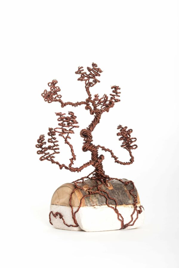 ajandek-bonsai-drotfa-rez-acel-aluminium-horgany-05