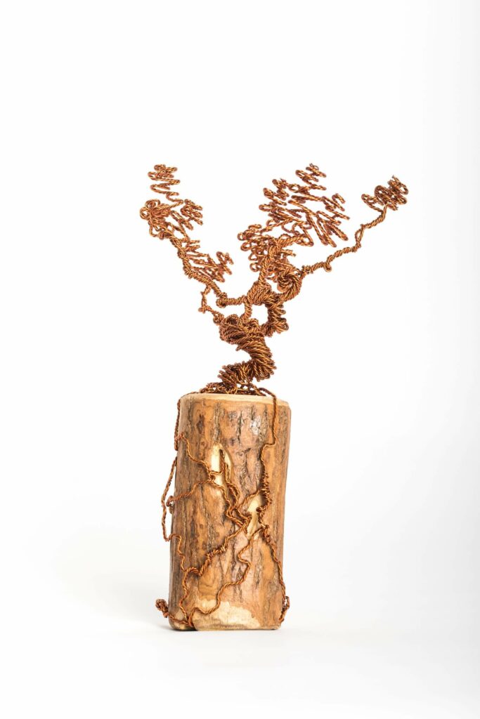 ajandek-bonsai-drotfa-rez-acel-aluminium-horgany-06