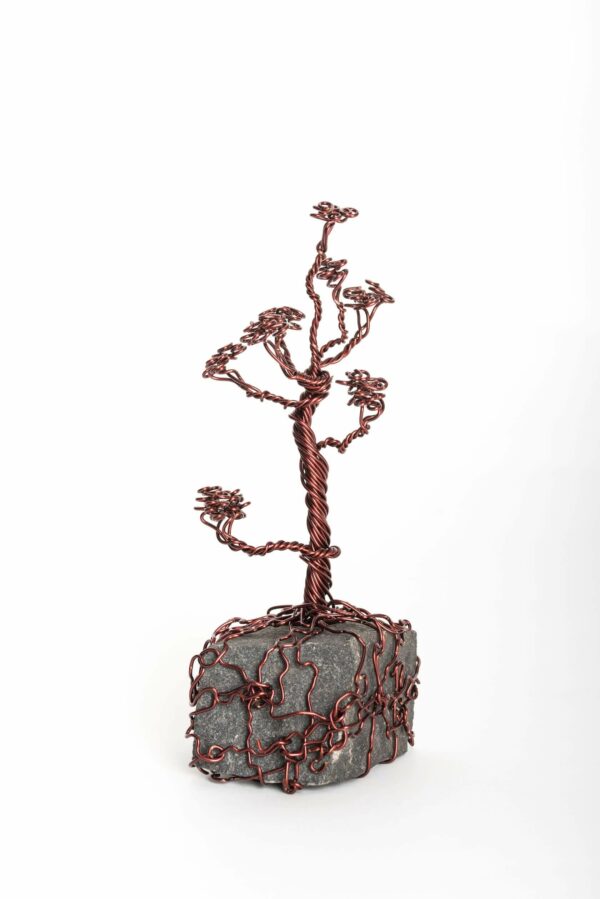 ajandek-bonsai-drotfa-rez-acel-aluminium-horgany-08