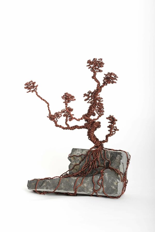 ajandek-bonsai-drotfa-rez-acel-aluminium-horgany-03