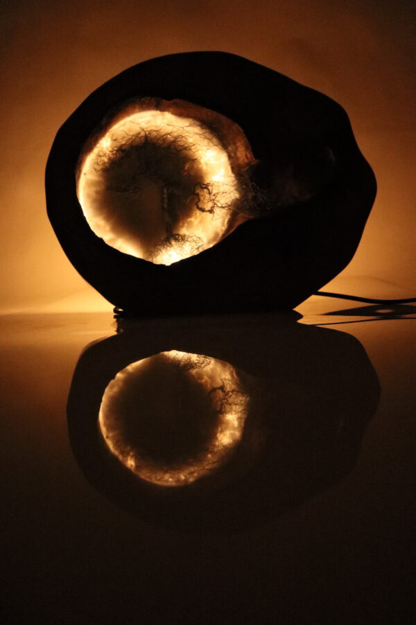 asztali lámpa epoxy gyanta led lámpa bonsai fa 134.10