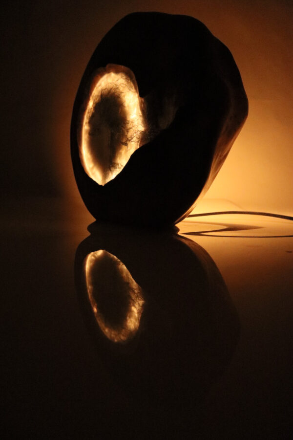 asztali lámpa epoxy gyanta led lámpa bonsai fa 134.11
