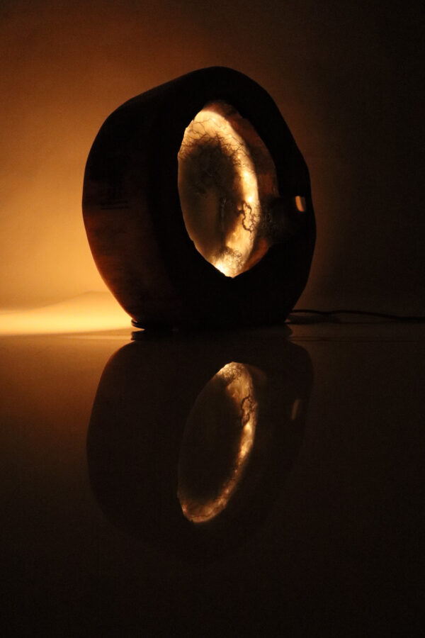 asztali lámpa epoxy gyanta led lámpa bonsai fa 134.12