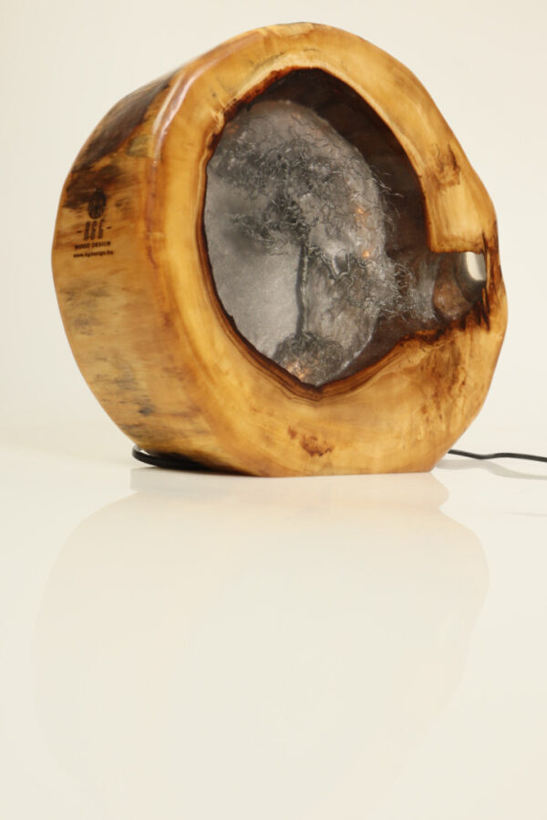 asztali lámpa epoxy gyanta led lámpa bonsai fa 134.14