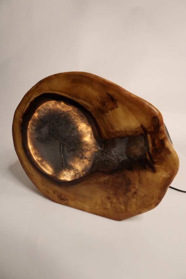asztali lámpa epoxy gyanta led lámpa bonsai fa 134.8